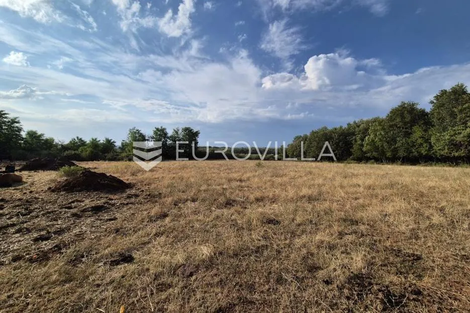 kaštelir, cerjani, poljoprivredno zemljište 24.118 m² s vlastitom šumom - slika 3