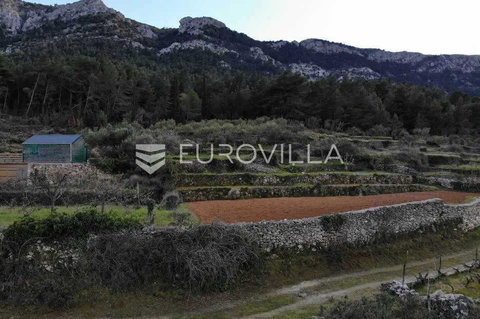 otok hvar, jelsa, atraktivno građevinsko zemljište 3393,60 m² s idejnim projektom za tri ville - slika 19