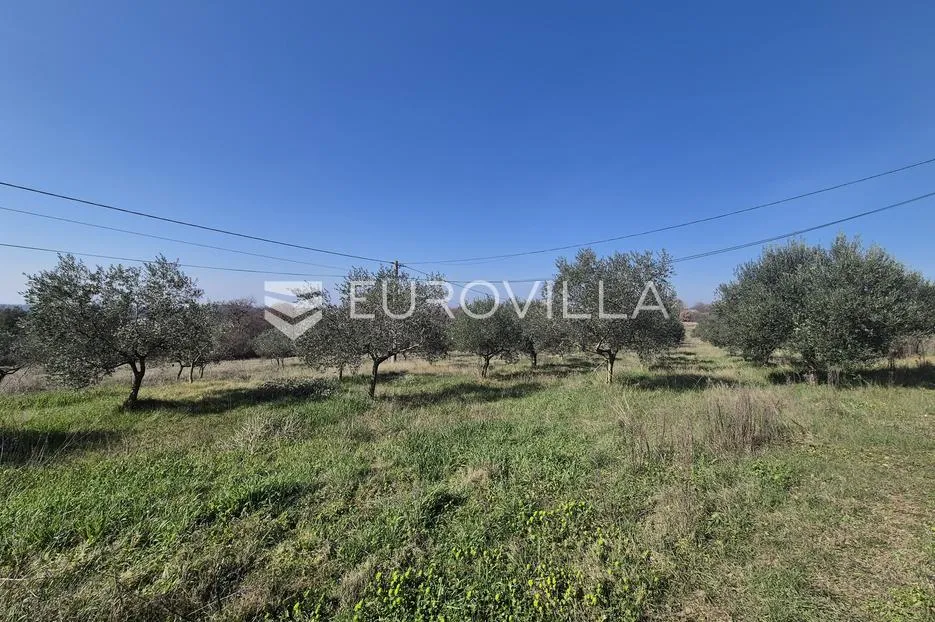 Istra, Bale, građevinsko i poljoprivredno zemljište s pogledom na more - Golaš