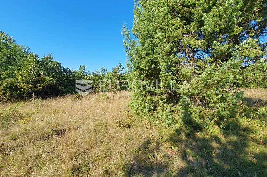 istra, baderna, poljoprivredno zemljište 12.120m2 - slika 7