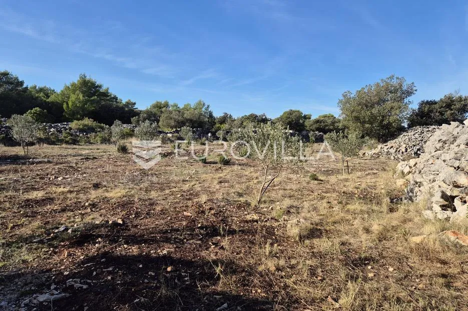 šolta, gornje selo, poljoprivredno zemljište s maslinikom površine 2.653 m² - slika 10