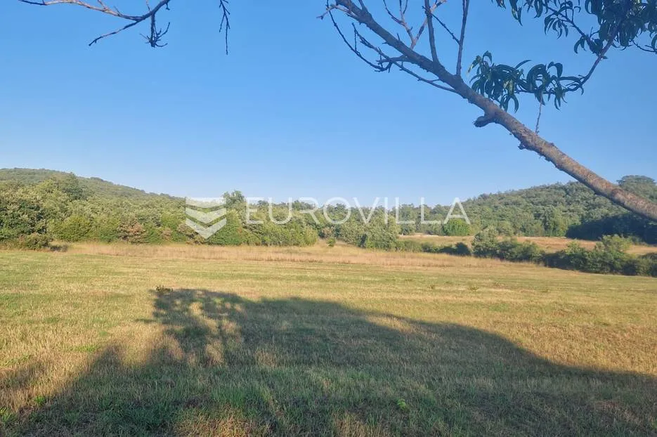 poljoprivredno zemljište, rovinjsko selo 8050m2 - slika 4
