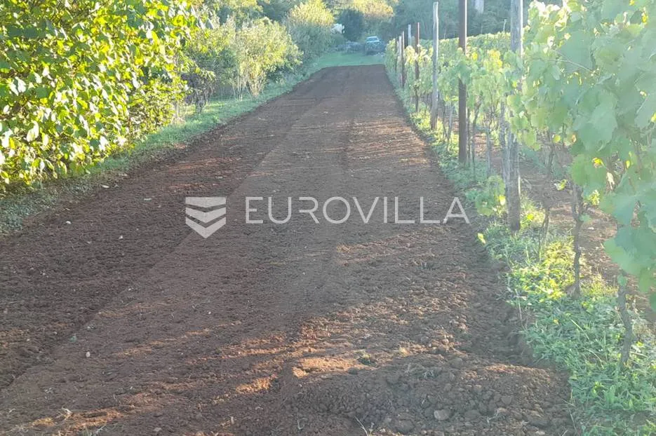 labin okolica, stara kamena kuća s 27.000 m² poljoprivrednog zemljišta, vinograd i voćnjaci - slika 4
