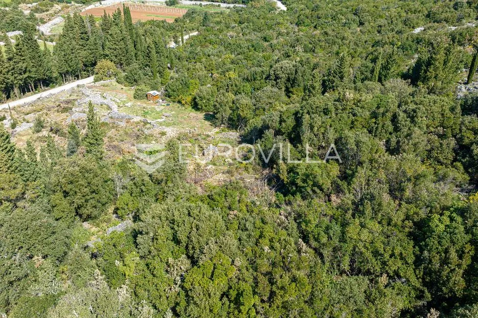 korčula, pupnat, poljoprivredno zemljište uz cestu površine 9.400 m² - slika 10