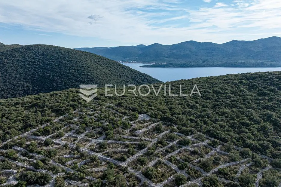 pelješac, nakovanj, poljoprivredno zemljište površine 17 000 m² - slika 2