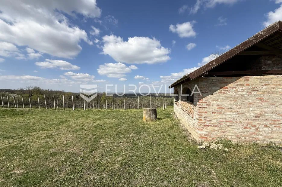 batina, zemljište s vinogradom i predivnim pogledom, 3274 m² - slika 8
