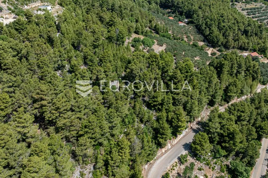 otok korčula, blato, uvala gršćica, poljoprivredno zemljište blizu mora - slika 4