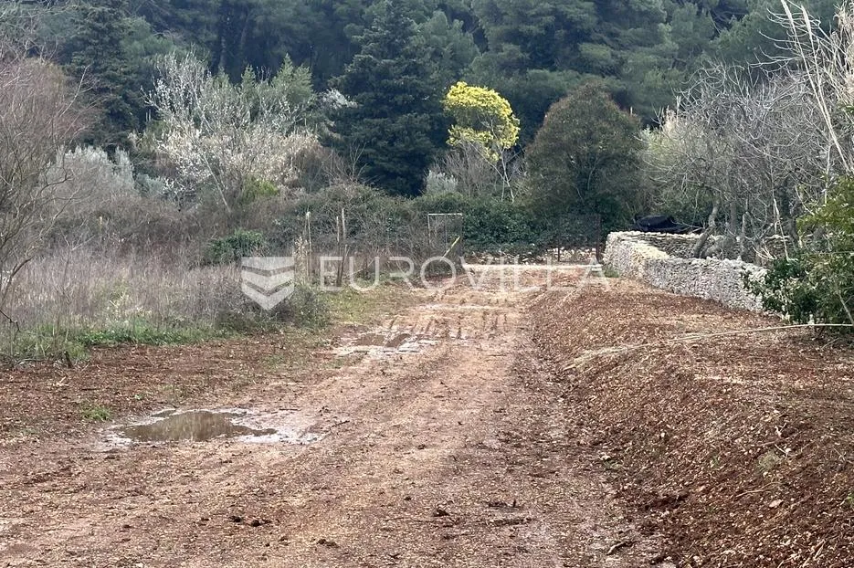 istra, premantura, građevinsko zemljište t2 zona 3020 m2 - 400 m od mora - slika 5
