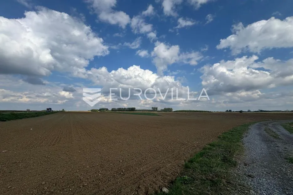 kuševac, atraktivno poljoprivredno zemljište uz cestu, 4 ha - slika 8