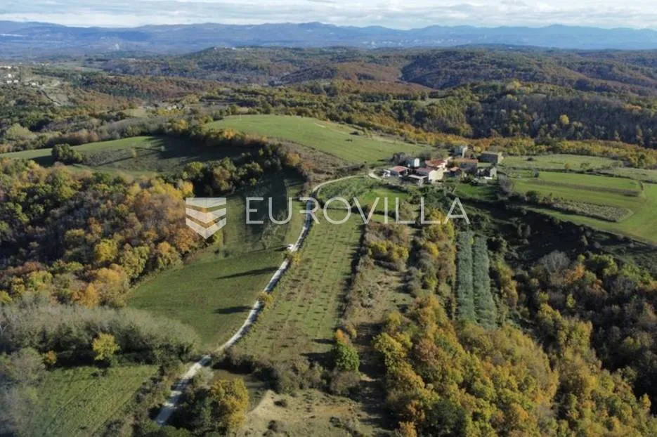 istra, momjan - zemljište 4137m2 od kojih je 1871m2 građevinsko - slika 4