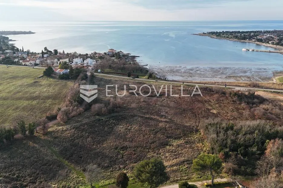 novigrad, dajla, građevinsko zemljište 1928 m², 100 m od mora, idealno za stambeni projekt - slika 2