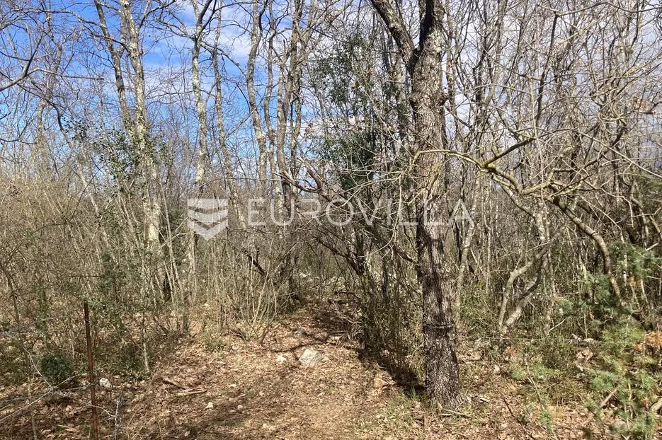 istra, bale, poljoprivredno zemljište 12200m2 s mogućnošću gradnje gospodarskog objekta - slika 6