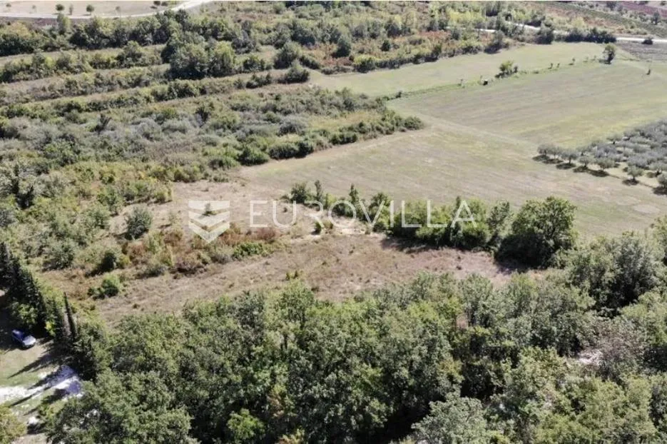 istra, predivno zemljište 26.700 m² pogodno za vinograd sa vinskim podrumom - slika 8