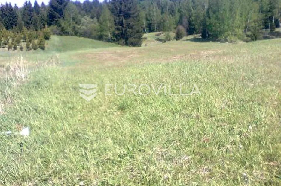 g.kotar, hlevci, predivan ravan teren od 4193 m² - slika 3