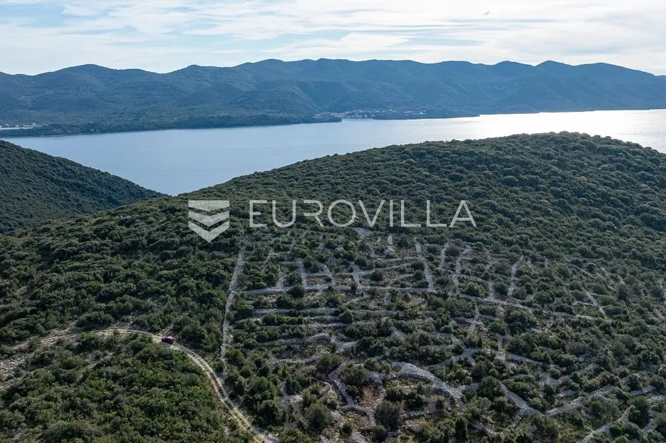 pelješac, nakovanj, poljoprivredno zemljište površine 17 000 m² - slika 3