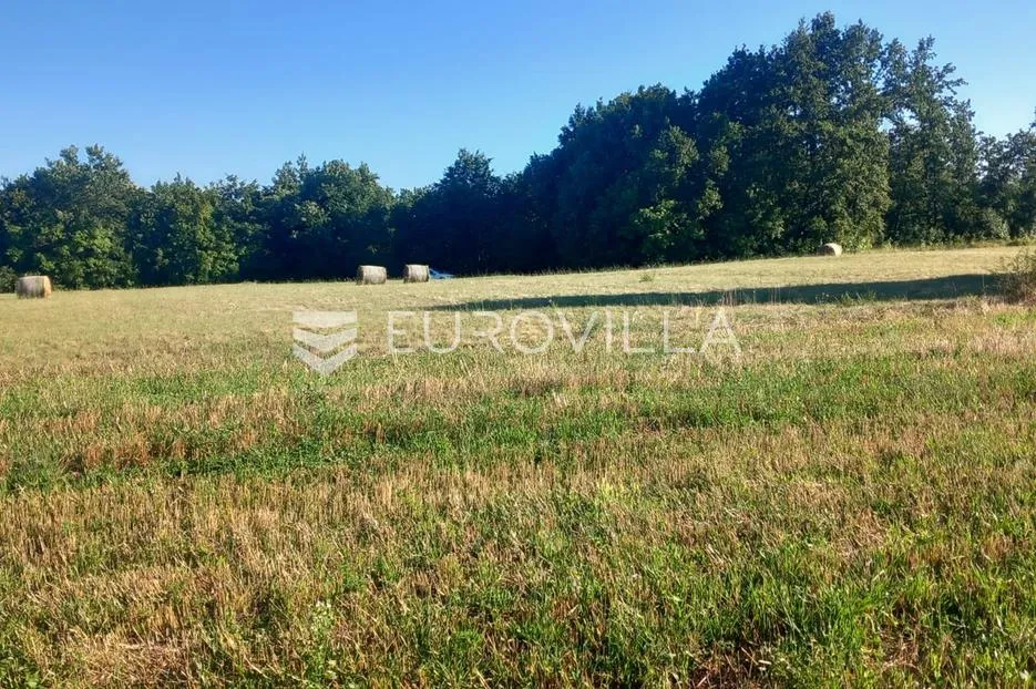 istra, svetvinčenat, poljoprivredno zemljište 8182 m² - slika 2