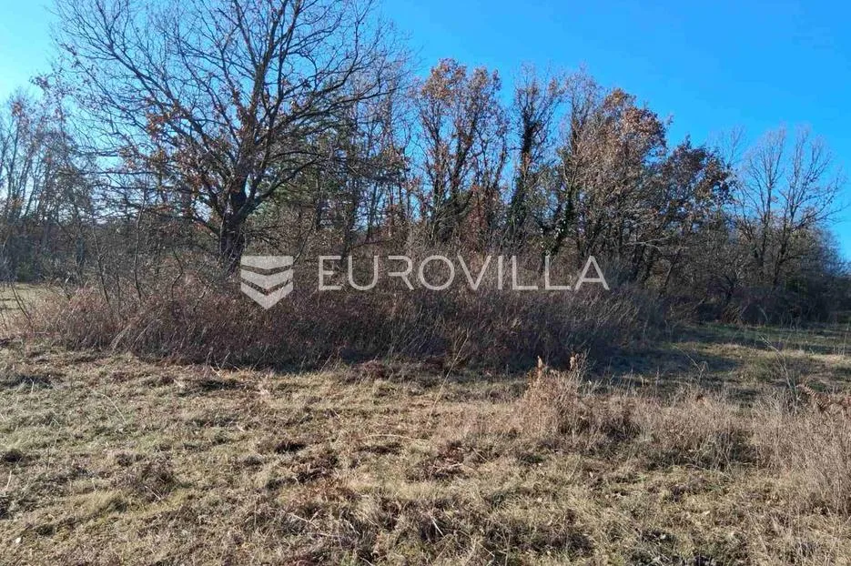 istra, barban, atraktivno poljoprivredno zemljište 4 729 m². - slika 3