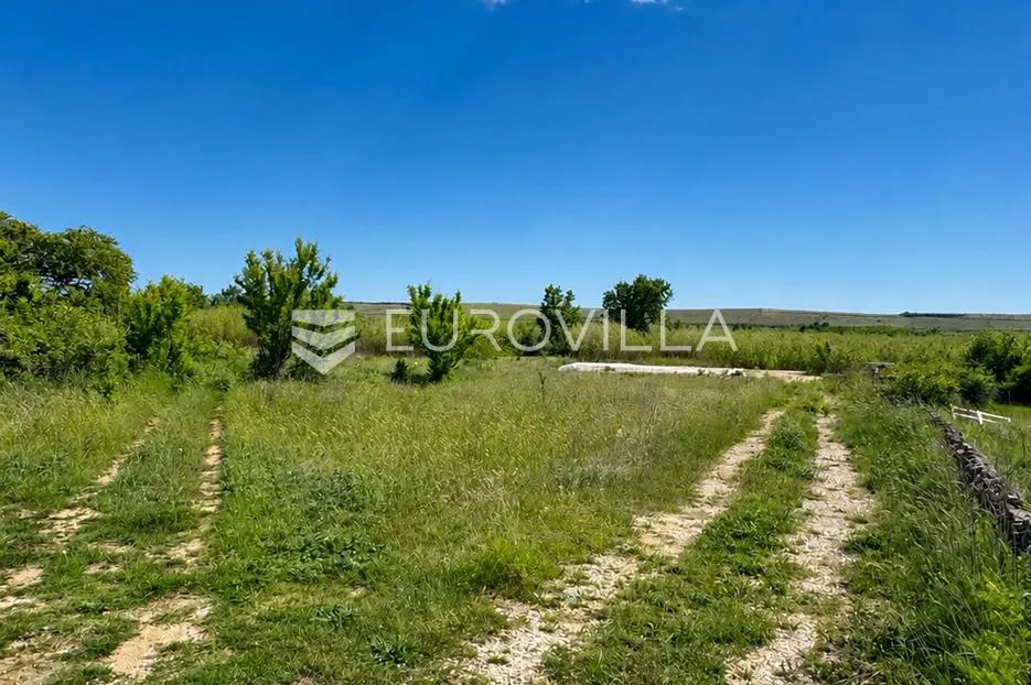 pag, povljana, građevinsko zemljište 1.225 m², 700 m od mora - slika 2