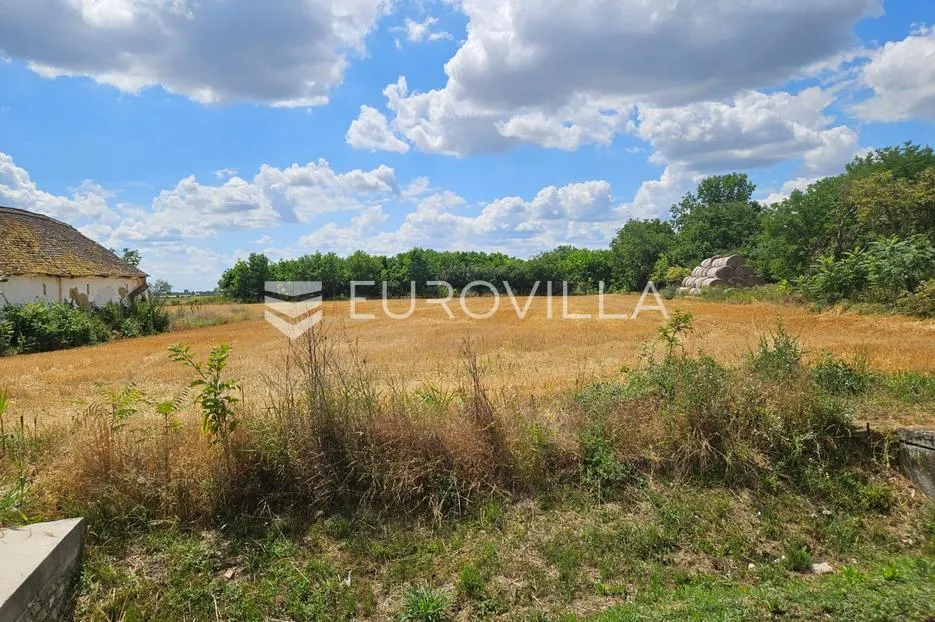 branjina, imanje na parceli od 7658 m² - slika 2