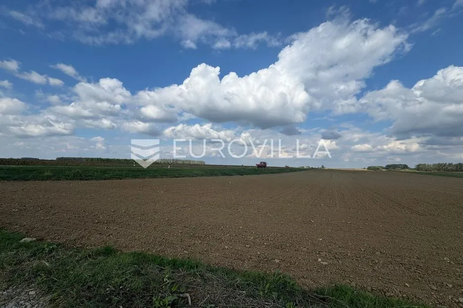 kuševac, atraktivno poljoprivredno zemljište uz cestu, 4 ha - slika 2