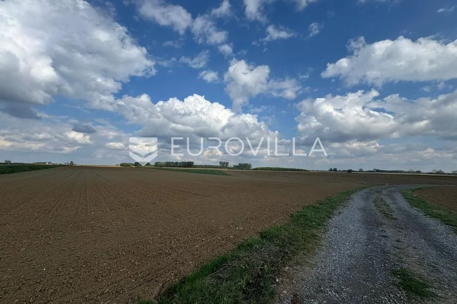 kuševac, atraktivno poljoprivredno zemljište uz cestu, 4 ha - slika 6