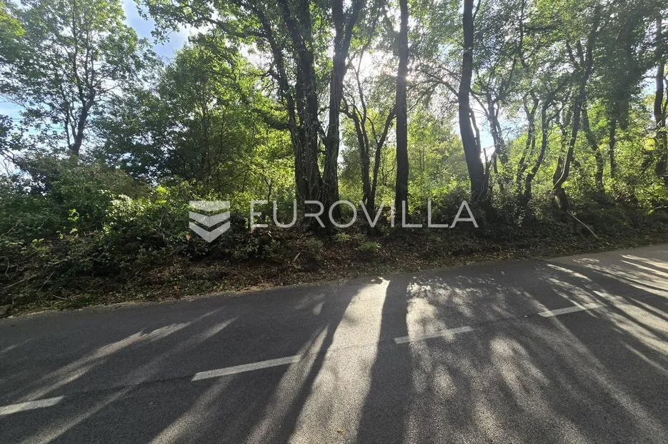 istra, krnica, poljoprivredno zemljište 3854 m² - slika 4