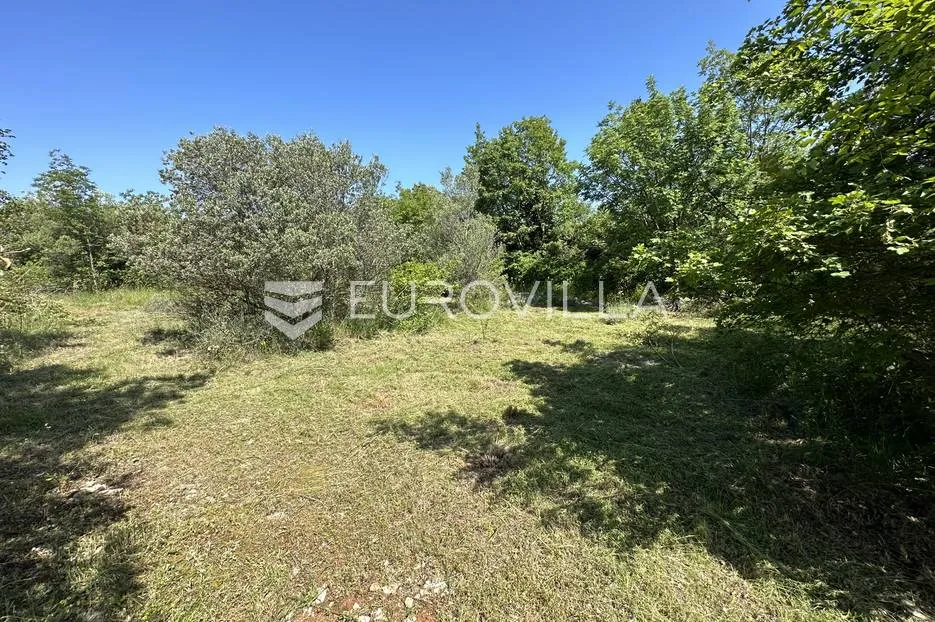 istra, šegotići, poljoprivredno zemljište, 3057m2 - slika 3