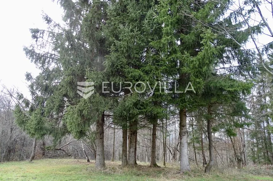 brod moravice, veliko imanje površine 19.448 m² - slika 44