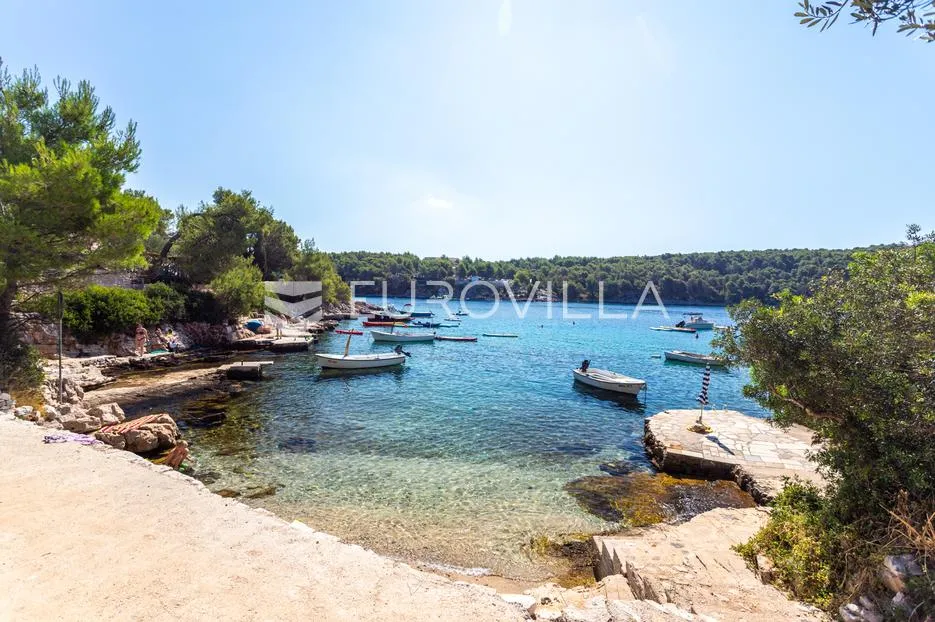 brač, milna, samostojeća kuća s četiri apartmana - slika 36
