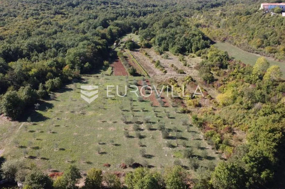 labin okolica, stara kamena kuća s 27.000 m² poljoprivrednog zemljišta, vinograd i voćnjaci - slika 2