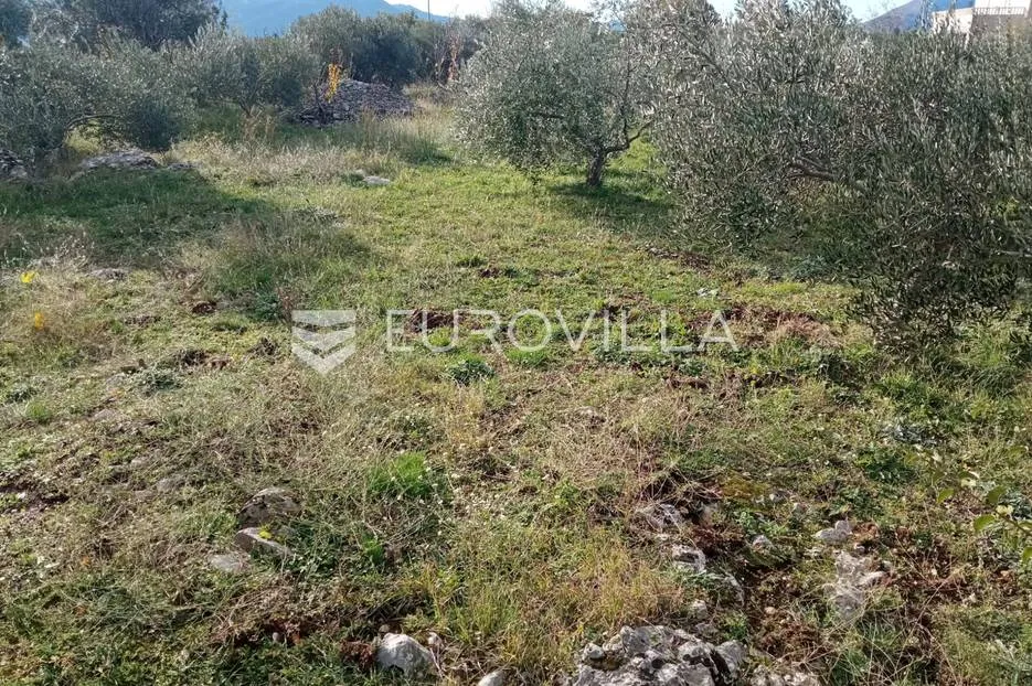 šestanovac, atraktivna parcela uz put, 4200 m², mogućnost obročne otplate - slika 2