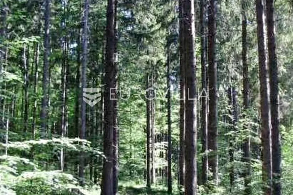 Ravna Gora, poljoprivredno zemljište 3496 m², pogodno za eksploataciju šume - Kupjak