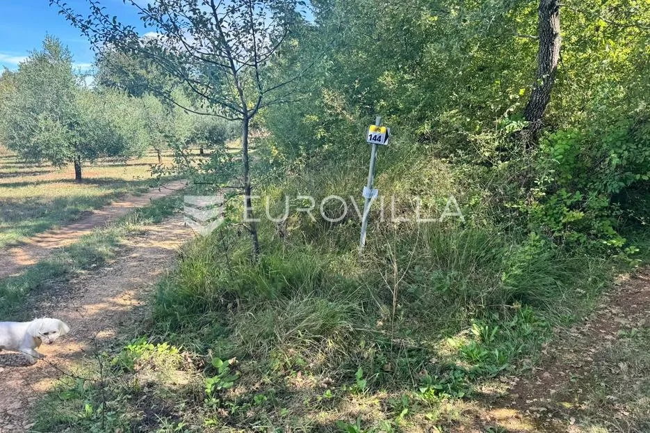 poreč, nova vas, poljoprivredno zemljište u oazi mira - slika 3