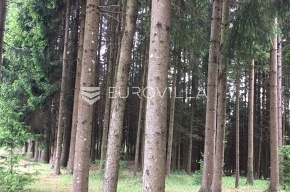 rakovica, plitvička jezera, obiteljska kuća 600 m² na zemljištu 41416 m² - slika 12