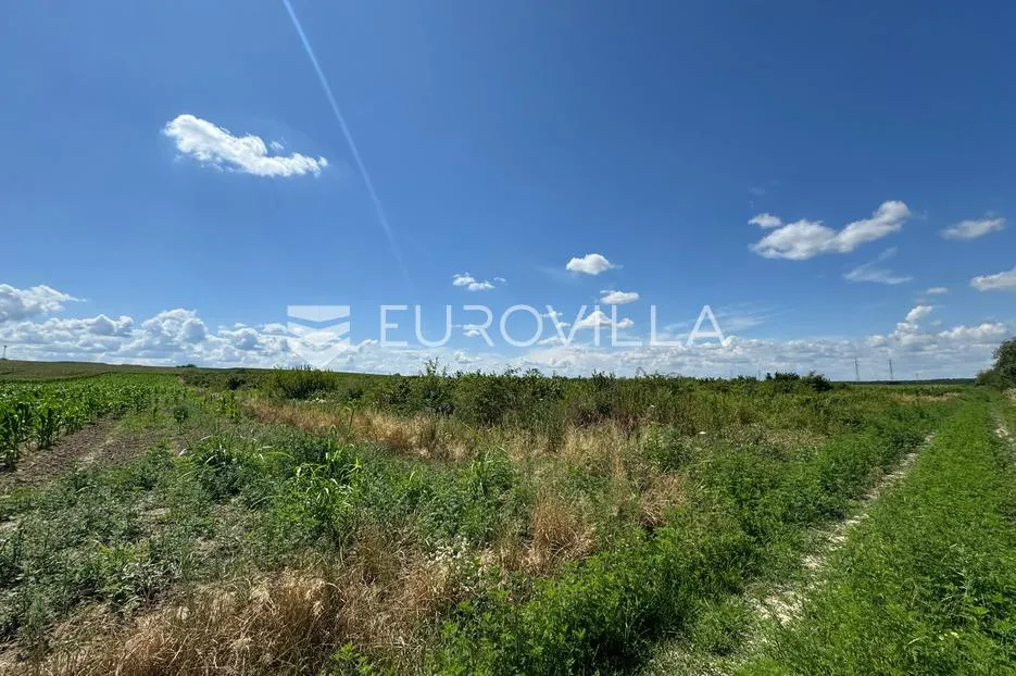 podgorač, poljoprivredno zemljište s nasadom lješnjaka 11622 m2 - slika 3