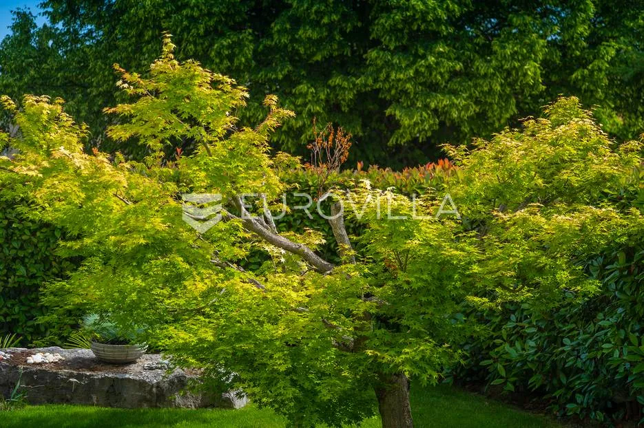 rovinj, rovinjsko selo, prekrasna villa s wellnessom i bazenom, 224 m² - slika 27