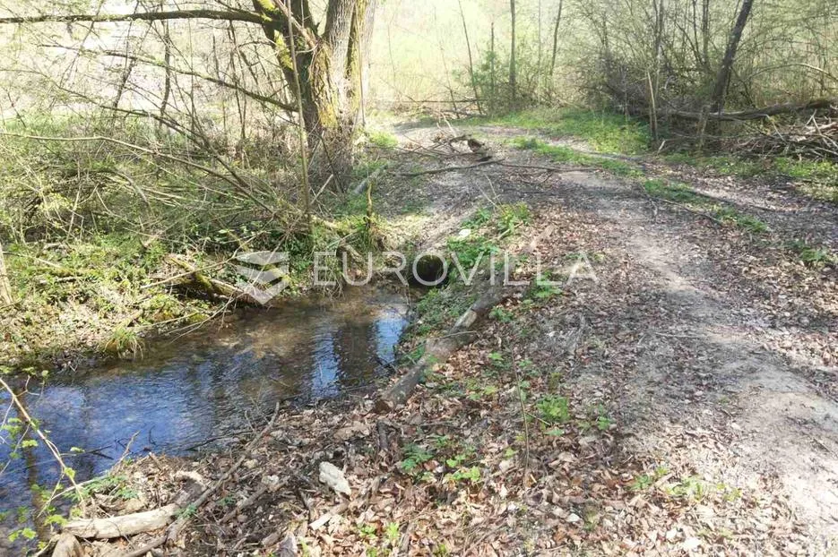 slunj, cvijanović brdo, zemljište 378428 m² s 2 objekta, višenamjensko - slika 6