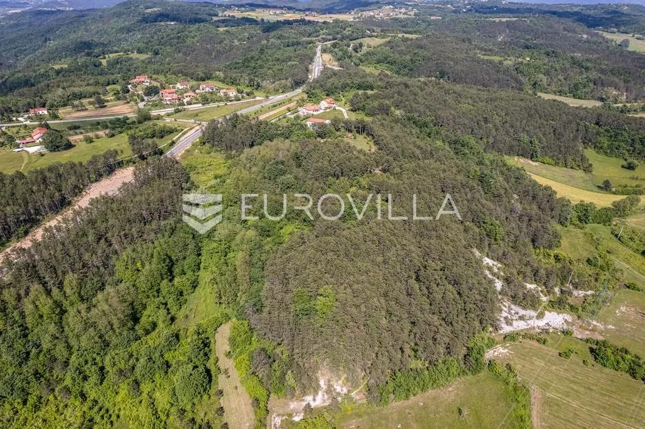 istra, grašćišće, jedinstveno građevinsko zemljište 2000 m² okruženo stoljetnom šumom 36789 m² - slika 13
