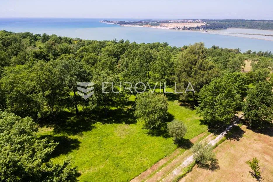 istra, tar - građevinsko zemljište 1. red do mora sa panoramskim pogledom - slika 3