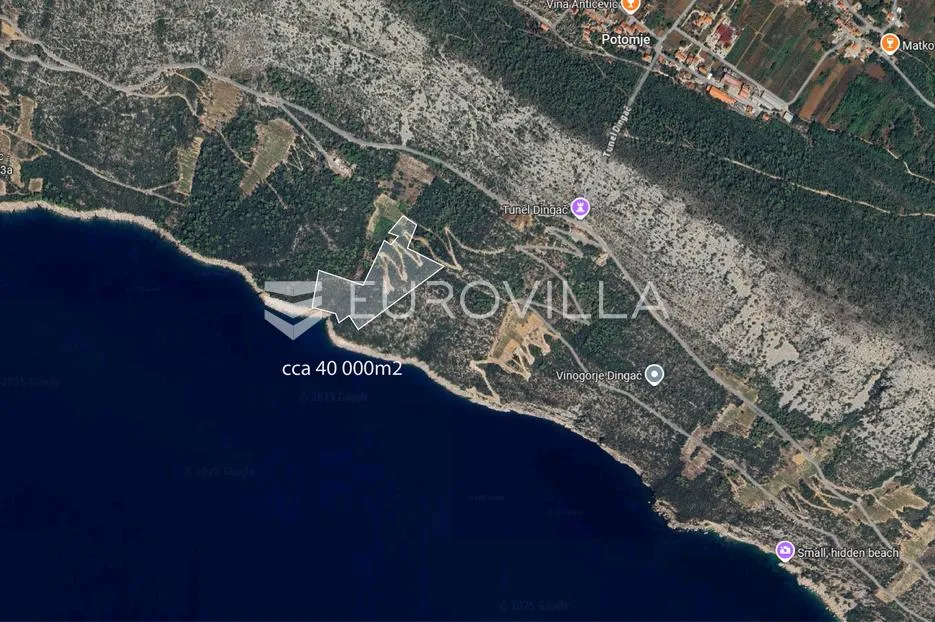 pelješac, potomje, poljoprivredno zemljište 40000 m² - slika 3