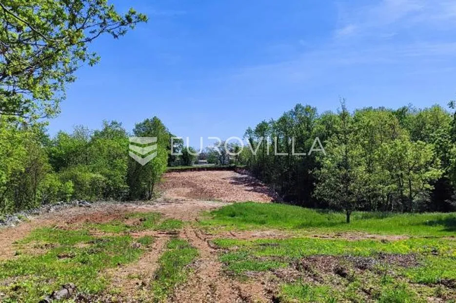 barban, rojnići, prekrasno pravokutno građevinsko zemljište 910 m² - slika 17