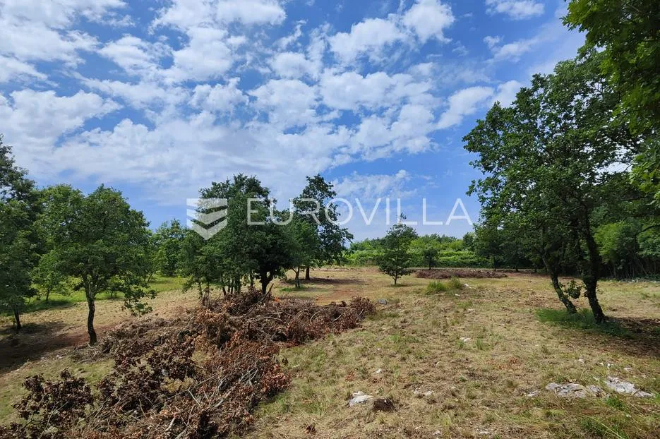 barban, rojnići, prekrasno pravokutno građevinsko zemljište 910 m² - slika 10