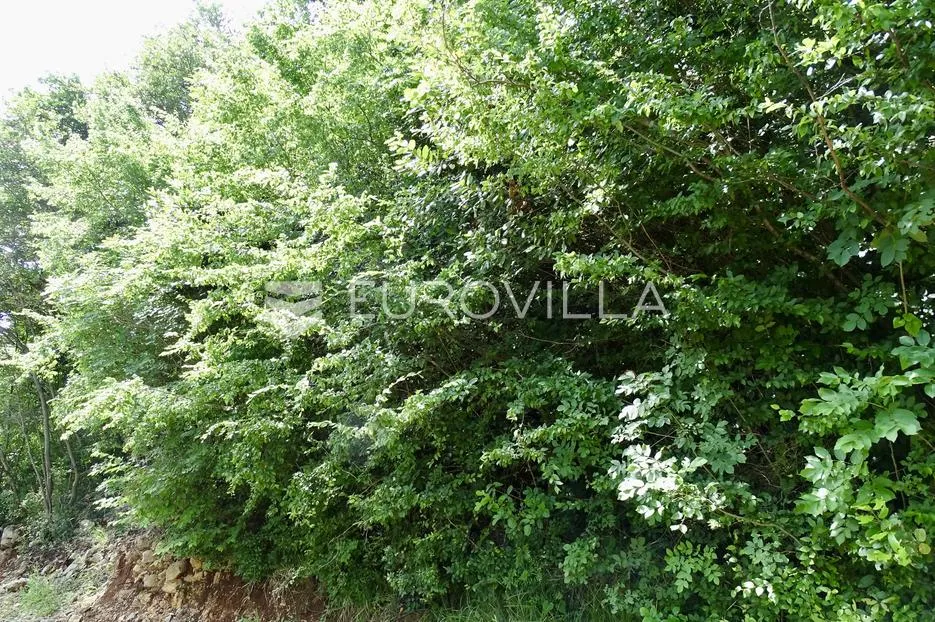 opatija, baredi, građevinski teren 2.056 m² - slika 4