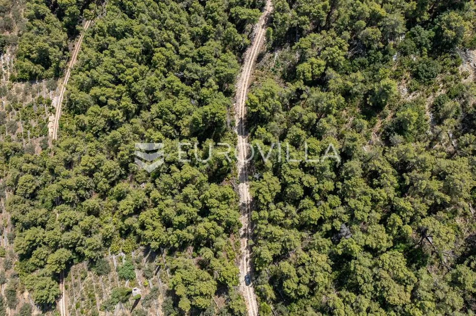 otok korčula, vela luka, poljoprivredno zemljište blizu mora - slika 5