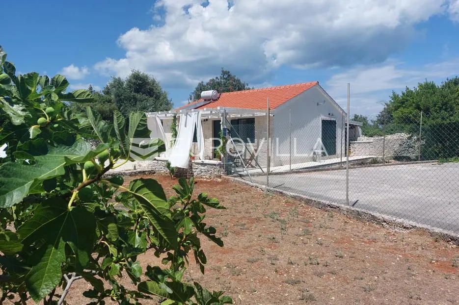 otok brač, škrip, kuća s zemljištem - slika 2