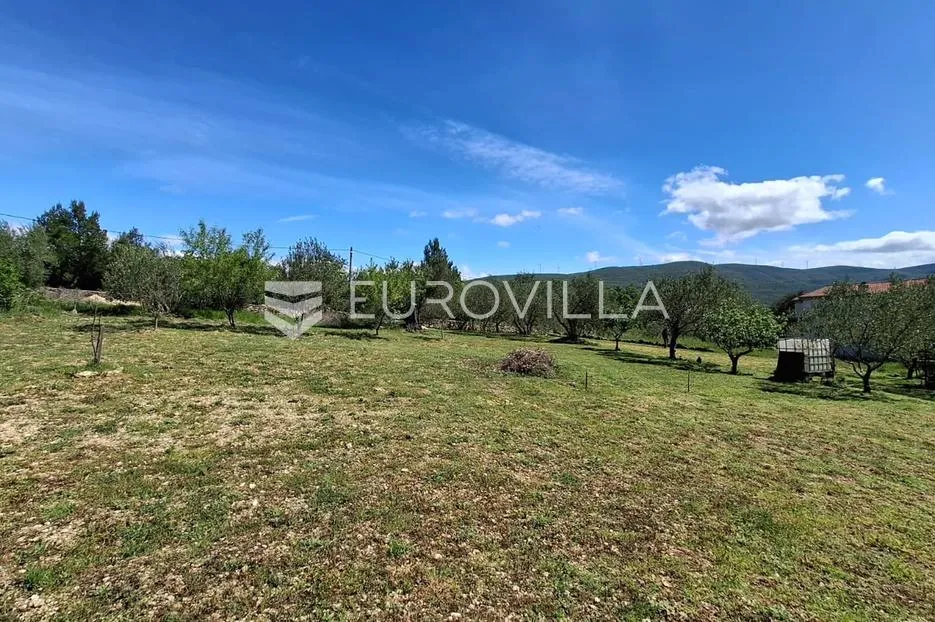 novigrad, pridraga, uređeno građevinsko zemljište s pogledom na more površine 1181m2 - slika 3