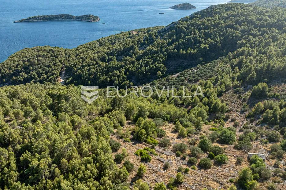 otok korčula, blato, uvala grčćica, poljoprivredno zemljište sa kamenom kućom - slika 4