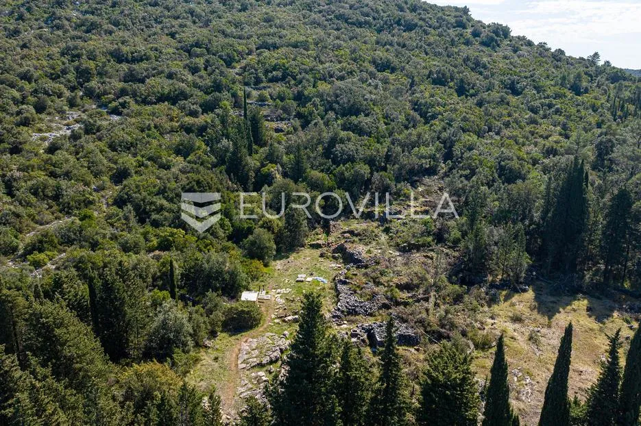 korčula, pupnat, poljoprivredno zemljište uz cestu površine 9.400 m² - slika 11