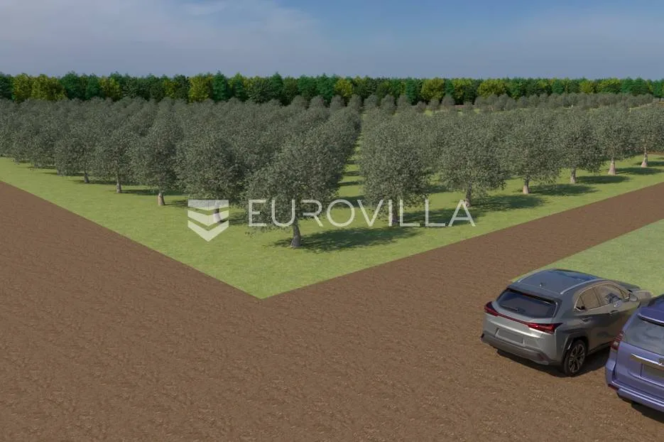 istra, bale, poljoprivredno zemljište 12200m2 s mogućnošću gradnje gospodarskog objekta - slika 4