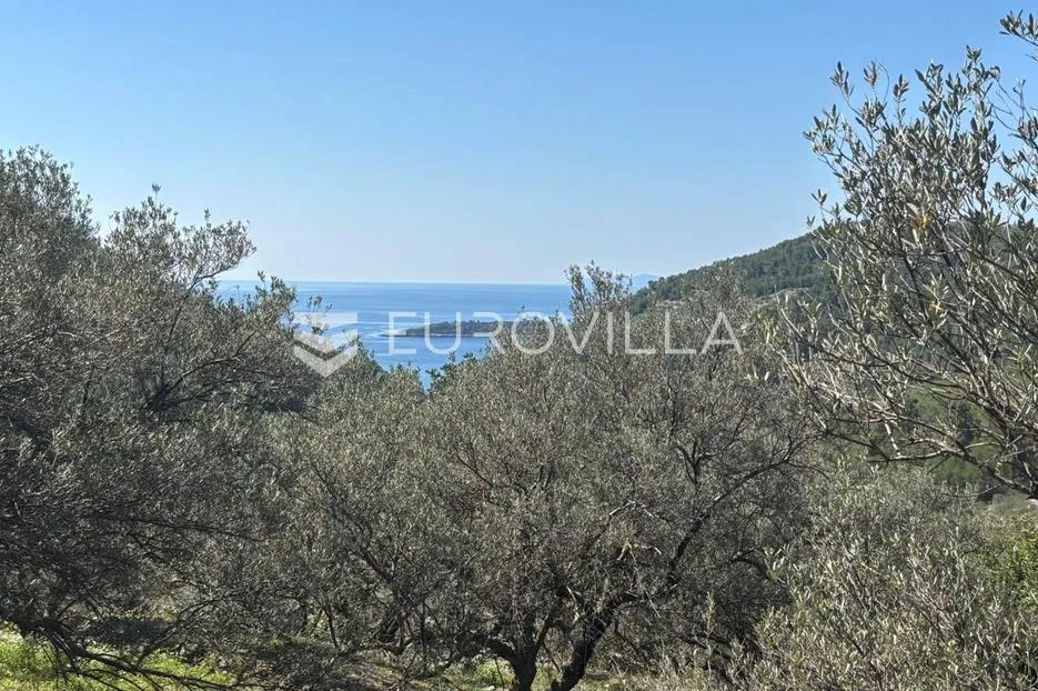 otok korčula, blato, predio granice, poljoprivredno zemljište sa pogledom na more - slika 2